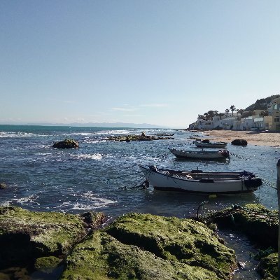 MounaMathari's profile picture. Directrice https://t.co/dKEqdNKSUK formation Fédération nationale des Communes Tunisiennes 🇹🇳