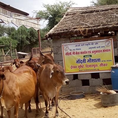 अध्यक्ष
ईश्वर सृष्टि सेवा प्रन्यास
नंदिनी गौ सेवा संवर्धन एवं अनुसंधान संस्थान
ईश्वर सृष्टि, भारत ३३२०२४
पूर्व क्षेत्रिय संगठन मंत्री
भारत विकास परिषद्
