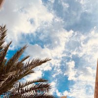 zayana (@zayanaabd) 's Twitter Profile