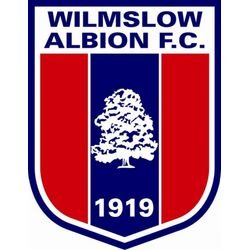 Wilmslowalbion Profile Picture