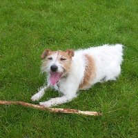 Dave Pritchard πΊπ¦ (@esscrew) 's Twitter Profile
