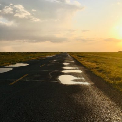 PachelbelFree's profile picture. 