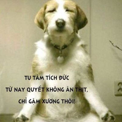 Huy85544373's profile picture. nhạt nhẽo