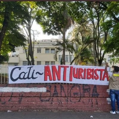 Alex13278440's profile picture. 