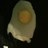 mikebreitkreitz's profile image