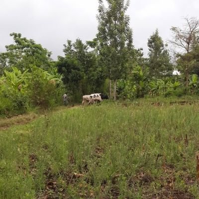 Where farmers tell their stories!
#agriculture #farming #ruraldevelopment