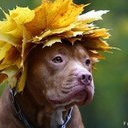 Marnie Cunningham - @tangowalter - Twitter