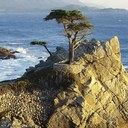 Phil Crisp - @Phillip_Crisp - Twitter