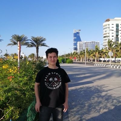 muhammdReza13's profile picture. iş