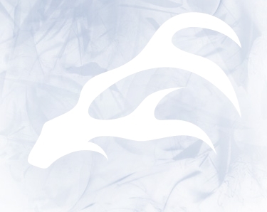 alitboazu's profile picture. sami rock band from Norway