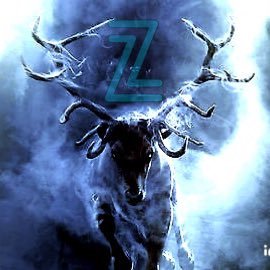 Crypto Junky, Adrenaline junky, & Anime junky. I choose the path less traveled...Supporter of all things #Zilliqa #telcoin $ZIL $TEL