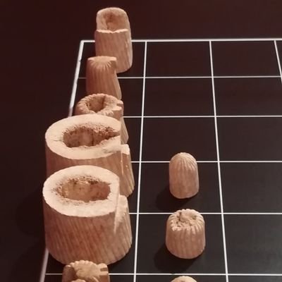 Niente mi rende speciale, speciale è il mio hobby: gli scacchi, un gioco millenario ricco di fascino e storia!