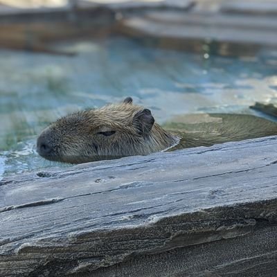 アラ還男子です

裏アカウント作ってみました

お尻フェチの匂いフェチです😆
山梨住みです🗻