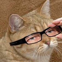 The Widdler (@thewiddler) 's Twitter Profile
