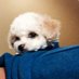 Kelvin Chen (@kelvin_chen_) Twitter profile photo Kelvin Chen (@kelvin_chen_) Twitter profile photo