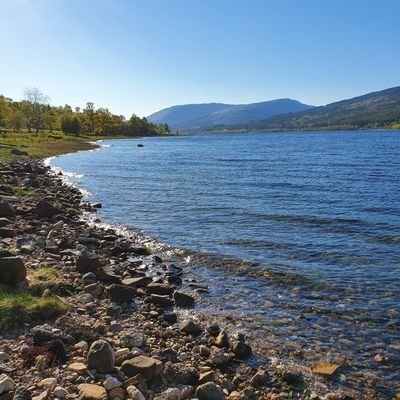 eponymoosey's profile picture. Living in a Highland wilderness.
Lover of children's books. Now studying Children's Literature at @UR_ECW