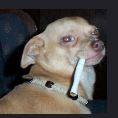 JavedBeand's profile picture. 