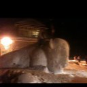 Tami - @TamiSpencer007 - Twitter