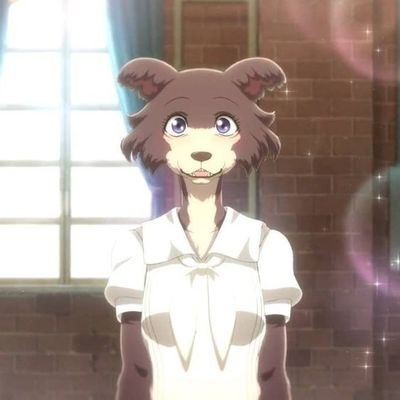 Kubo52770906's profile picture. Me haces tan gei...si, tú 🌻