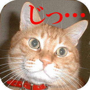 mtkwさんのプロフィール画像