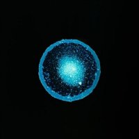 Adam Gauss, MD - د.آدم جاويش (@euclidgauss) Twitter profile photo