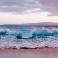 :) (@aishaar19) 's Twitter Profile