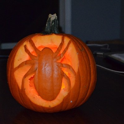 northernflikrr's profile picture. 