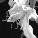 Sierra Caputo - @SierraLynn89 - Twitter