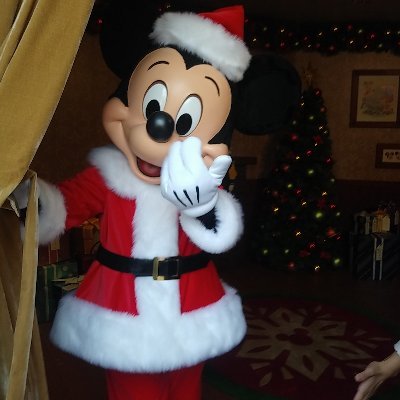 🌟🏰🌊🌟
いざ!夢の国へ〰️🍀
††††††††††
🐭ミキ🐭ミニ🐭🎀ダフ🐻幸宏さん🎸雅紀💚MJ💜灰銀⛩️京🦊月海🌕VW👑
††††††††††
大好き❤️
無言フォロー失礼します😿
もっ➰かい、
フロリダ行きたいな🐭🏰❤️