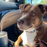 Kate Gibson (@staffokh) 's Twitter Profile