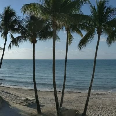 pherekar's profile picture. #Analyser #Dreamer #technology #innovation #women #empowerment #feminist