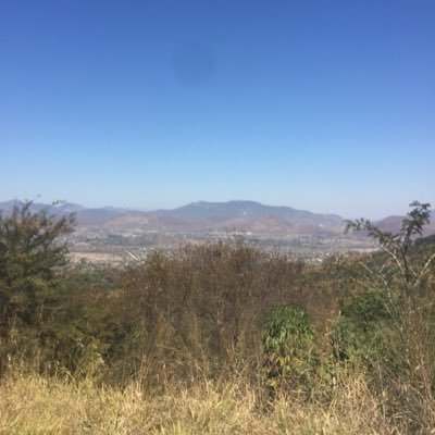 MamombeCaleb's profile picture. 