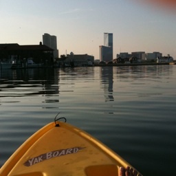 Antmema46's profile picture. 