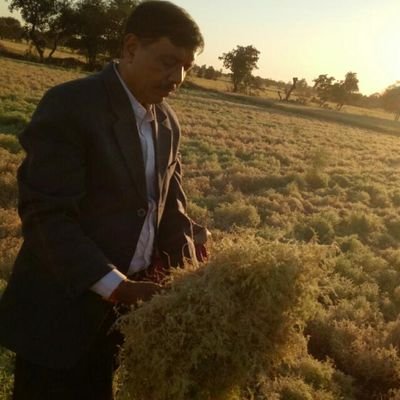 Director,GOI
Ministry of Agriculture and Farmers welfare,
Directorare of Pulses Development (DAC & FW)
Bhopal(MP)
462042