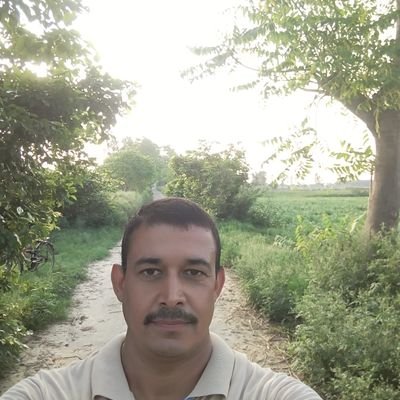 Pardeep28334688's profile picture. Student