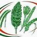 ICAR-IIMR Millets For Health (@icarfor) Twitter profile photo ICAR-IIMR Millets For Health (@icarfor) Twitter profile photo