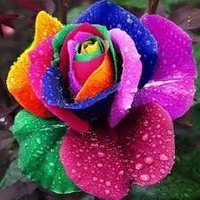 தமிழ் மகன் (@sarasadiq15) 's Twitter Profile