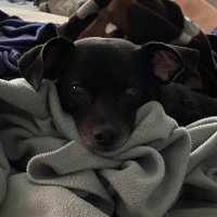 Addie H (@addieh2) 's Twitter Profile