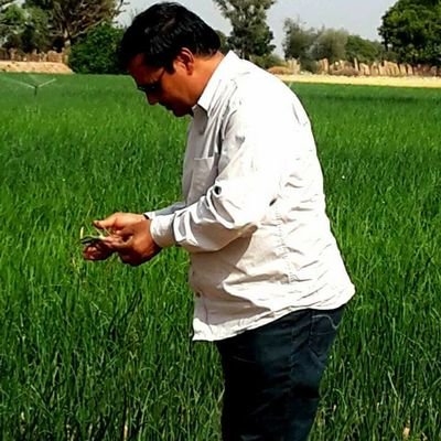 Om Prakash Choudhary,Plant Protection Officer,Locust Warning organisation,Jodhpur