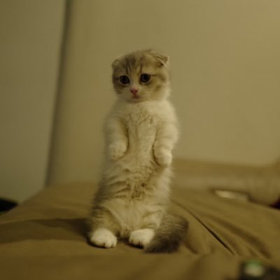 Rattamol_'s profile picture. ความบันเทิง