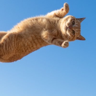 yasuyasusuya's profile picture. 旅行、サウナ、お酒、ゲーム、株、やってるぅ