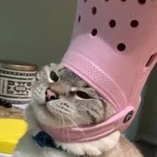 Makximised's profile picture. Officially licensed to bully @SteamPulse