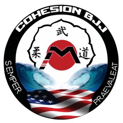 Brazilian Jiu Jitsu & Judo Academy where  the two words Team & Family as well as Honor-Courage-Commitment are emphasized “We Rise by Lifting Others”