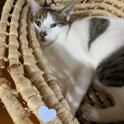 沖田さんのプロフィール画像
