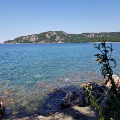 JMcColl133's profile picture. 