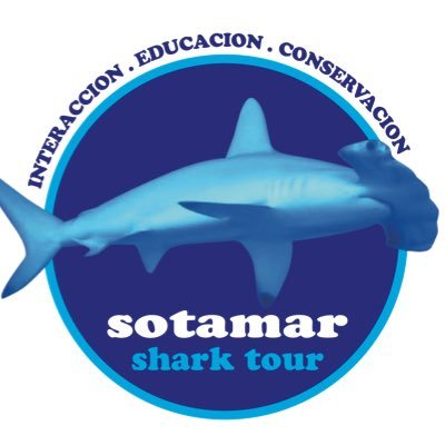 Sotamar Shark Tour, un proyecto creado por y para aquellos que somos apasionados de los tiburones. Interacción, educación y conservación.