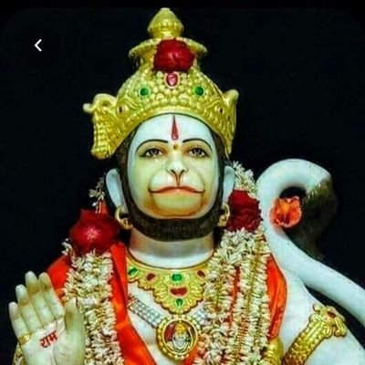 VishalP30829045's profile picture. 