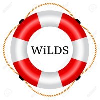 WiLDS Swim(@wi_lds) 's Twitter Profile Photo