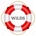 WiLDS Swim (@wi_lds) Twitter profile photo