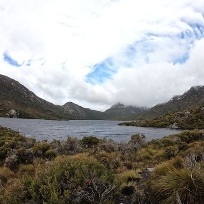 ponkotaroux2's profile picture. カメラが趣味